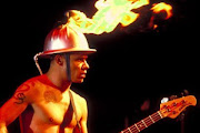 Flea