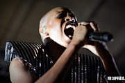 Skunk Anansie