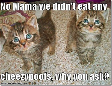 funny-pictures-kittens-deny-eating-your-cheesy-poofs