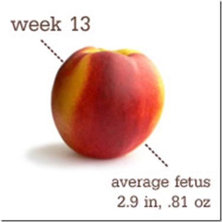Peach - 13 Weeks