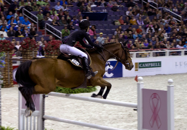 WIHS 2013 Thursday
