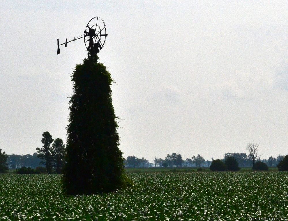 [DSC_0010%255B3%255D.jpg]