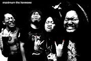 Maximum The Hormone