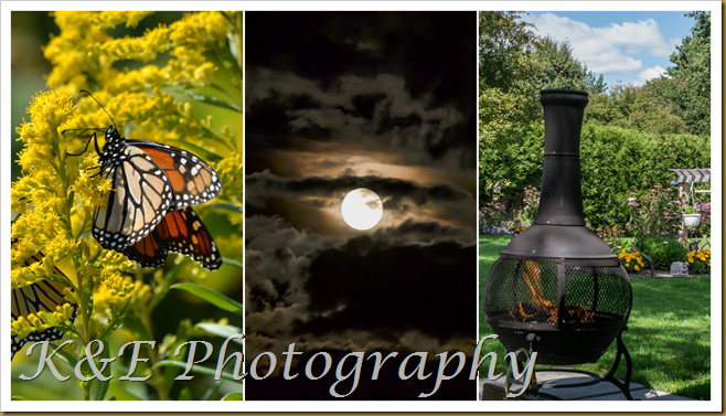 September 2014PicMonkey Collage