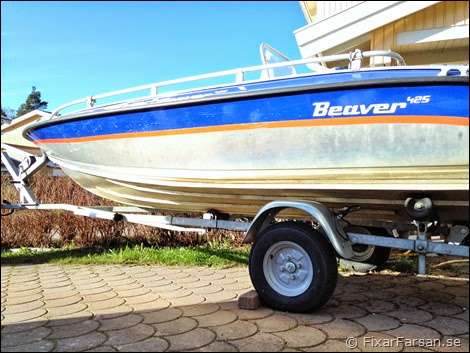 Silver-Beaver-425