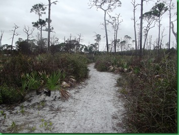 Sandy path