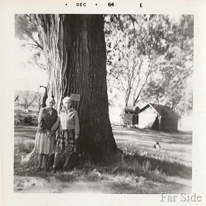 Tracie and Emma 1964 By the tree on their homeplace near logan iowa