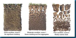 71-soils-test-pic4