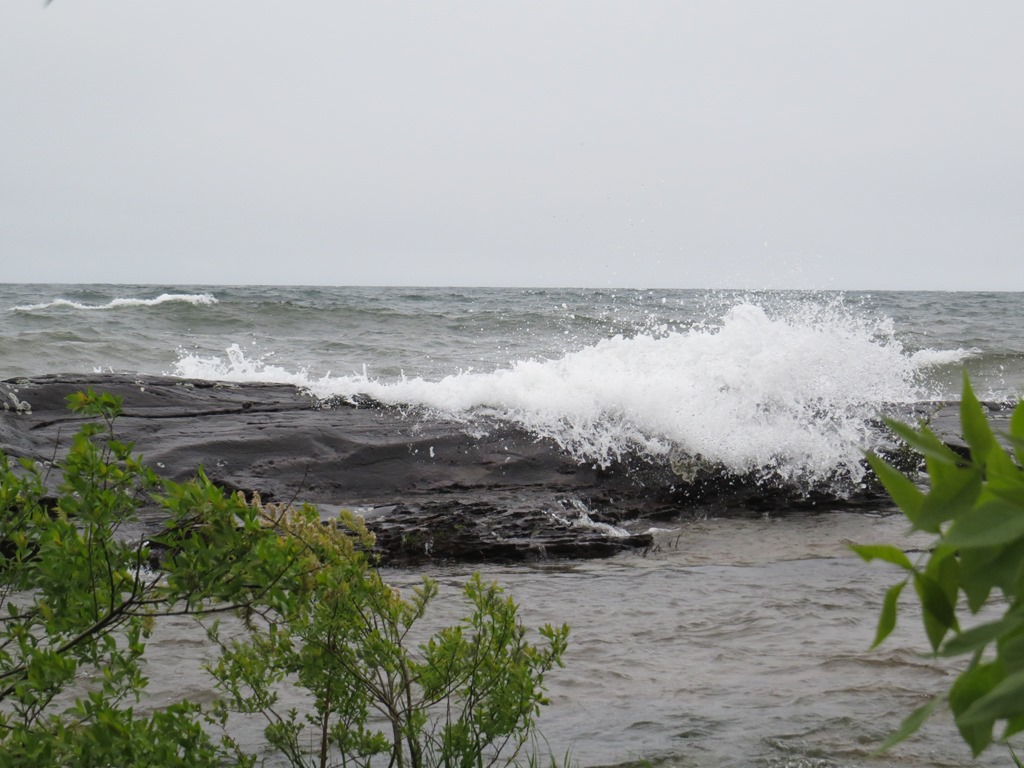 [IMG_80534.jpg]