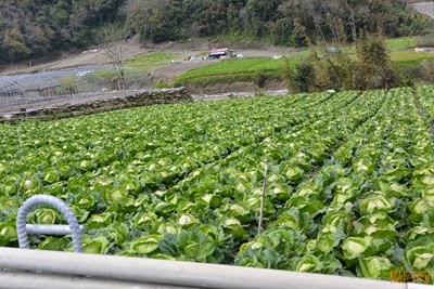0221 007  - 台7甲
