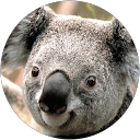 G A
