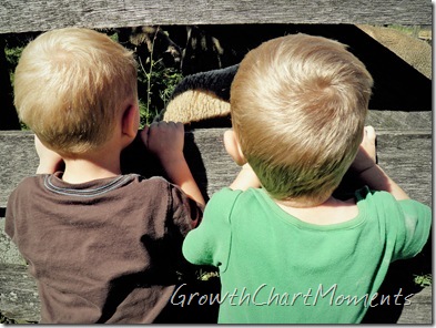 I'm so glad I like the backs of their heads!!! That's allI can ever get of our toddlers