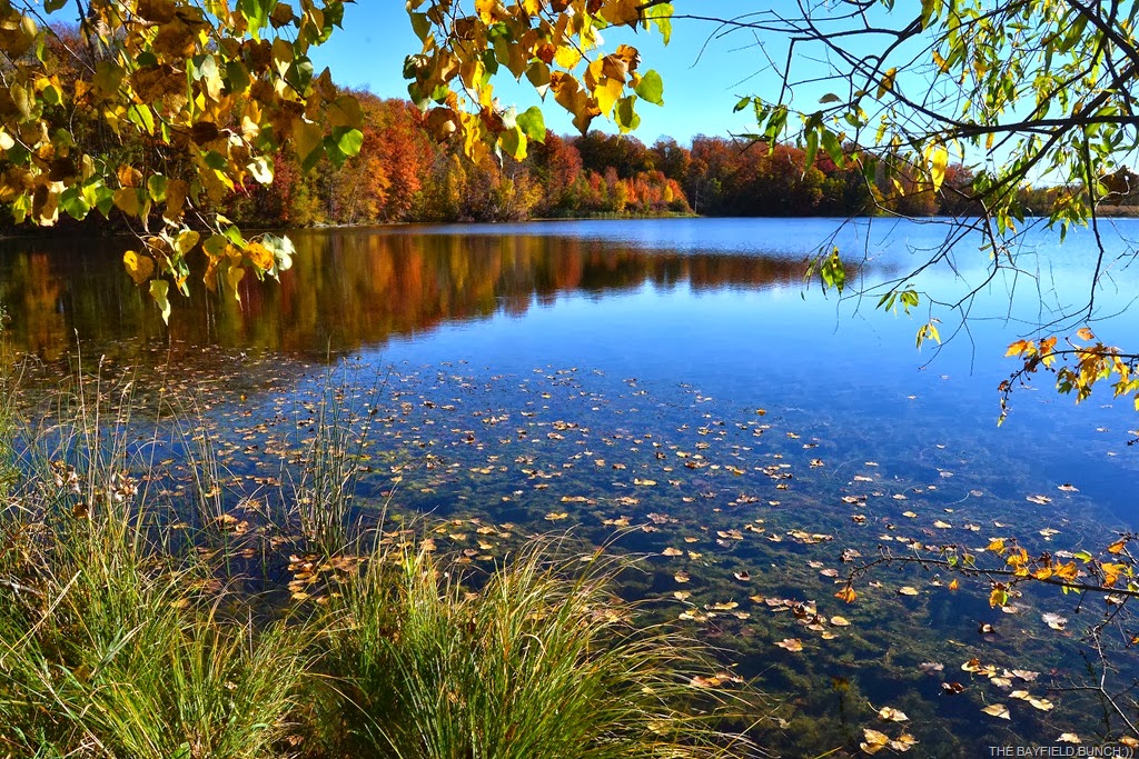 [DSC_0071%255B4%255D.jpg]