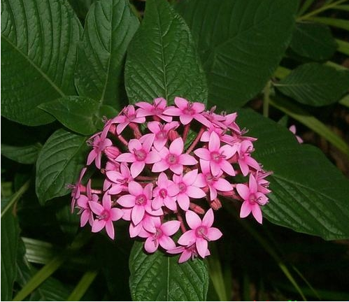 [image%255B78%255D.png]