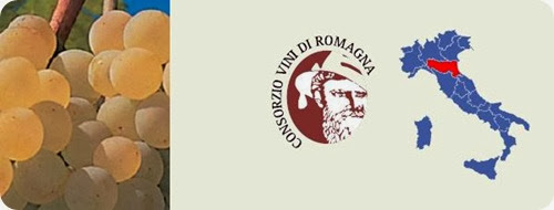 albanadiromagna albanadiromagna