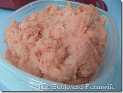 Fresh Strawberry Sorbet- The Backyard Farmwife