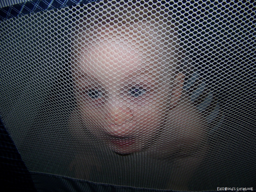 [net%2520face2%255B11%255D.jpg]