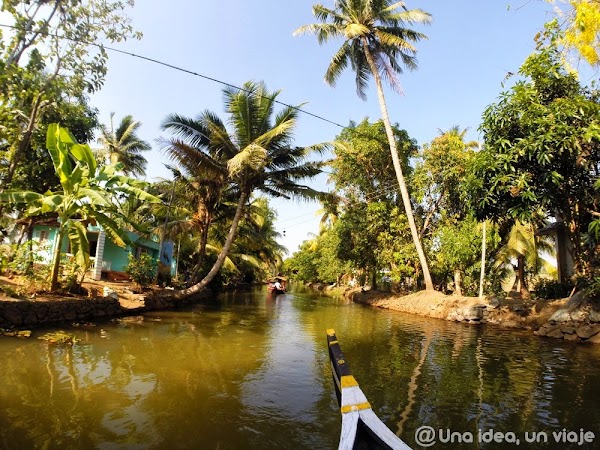 Kerala-backwaters-Kumarakom-2.jpg