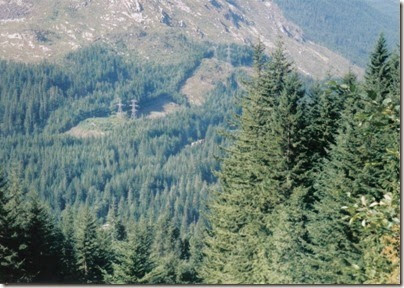 View of BNSF Freight Train from near Milepost 1715 on the Iron Goat Trail in 1998
