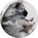 Image Google de Joe L