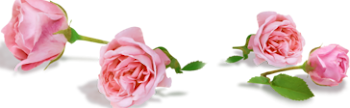 0_5a2fd_fc1c25dc_XXL%255B1%255D.png