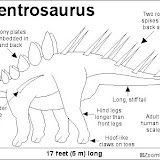 Kentrosaurus_bw.gif.jpg