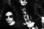 Steely Dan