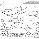 Dibujo de Delfines para colorear.jpg
