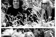 The Melvins