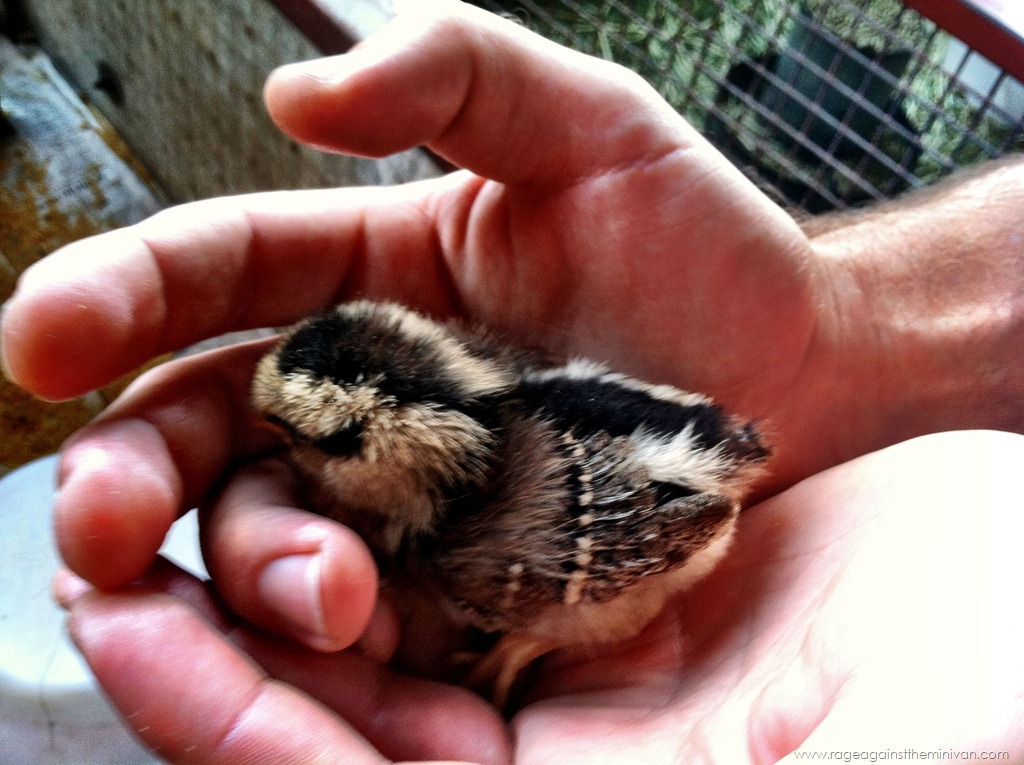 [Photo%2520Apr%252007%252C%25202%252045%252006%2520PM%255B2%255D.jpg]