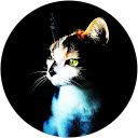 Heidi Talvi profile picture