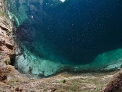 Looking down into Zaci Cenote in Valladolid