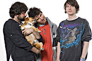 Animal Collective
