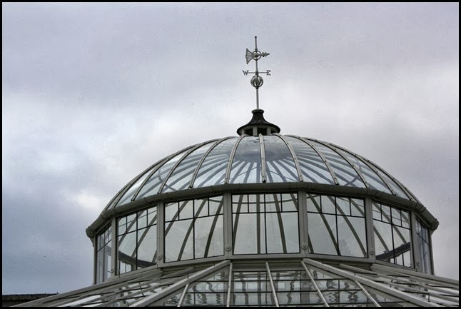 Wind Vane at The Conservatory at Chiswick House