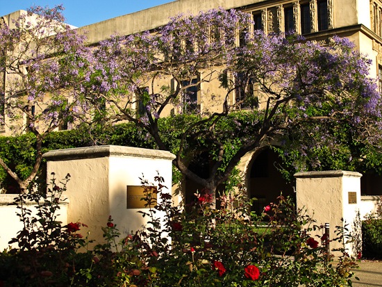 Cal Tech Campus (1)