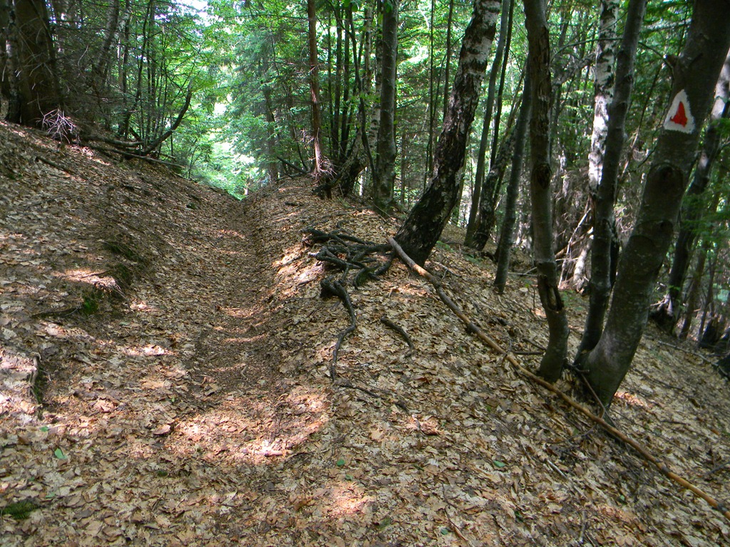 [DSCN15833.jpg]
