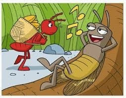 cicala formica