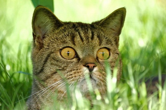 [clip_image015%255B3%255D.jpg]