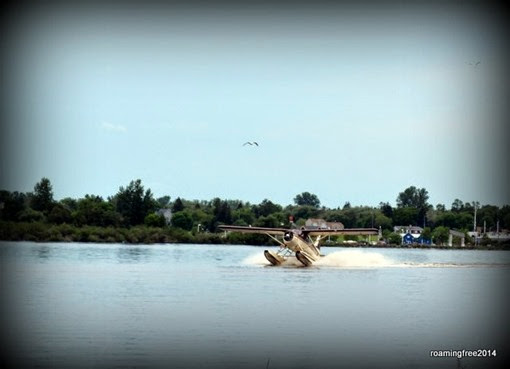 Seaplane landing on the river