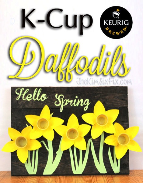 Kcup daffodil