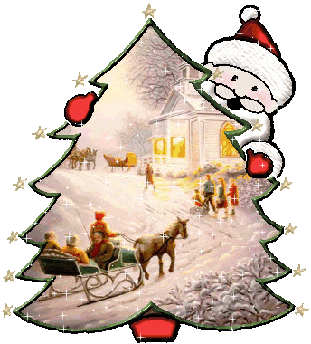 abeto navidad blogdeimagenes (9) abeto navidad blogdeimagenes (9)
