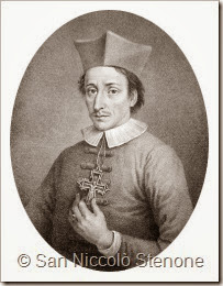 Niccolò Stenome