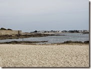 IMG_1917 IMG_1917