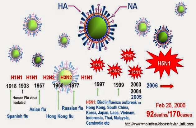 Influenza A Pandemics