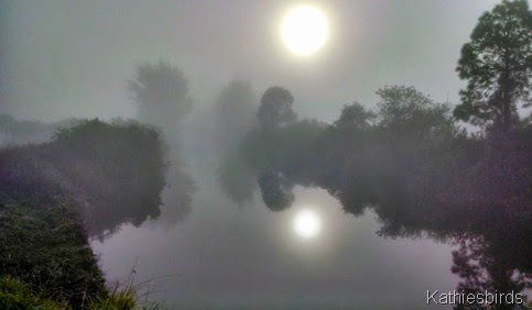 2-26-14 morning fog at the canal bridge
