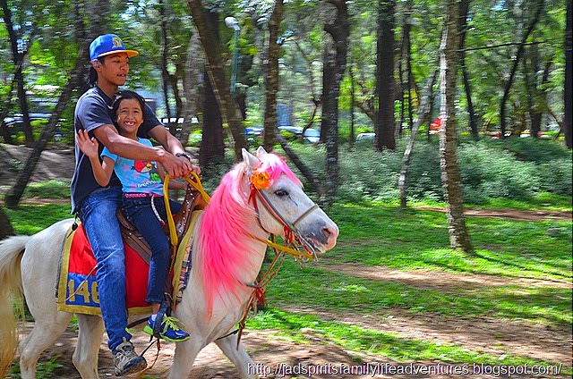 http://jadspiritsfamilylifeadventures.blogspot.com/2014/09/11-places-to-visit-in-baguio-in-1-days.html DSC_0862