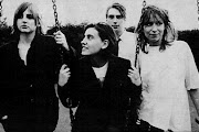 Elastica