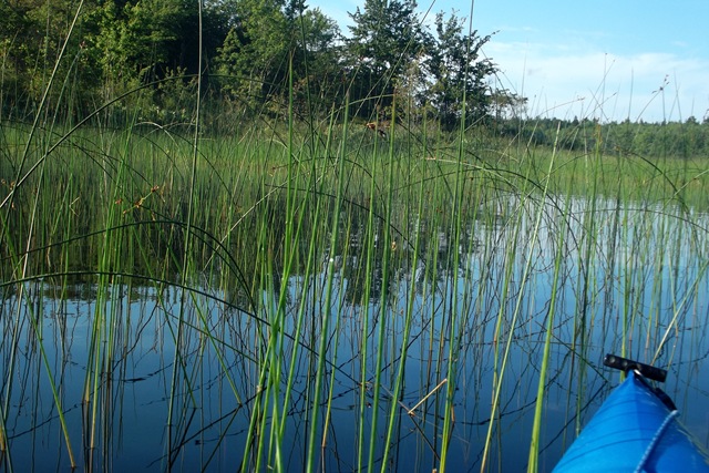 [Kayaking%2520Seal%2520Cove%2520Pond%2520016%255B3%255D.jpg]