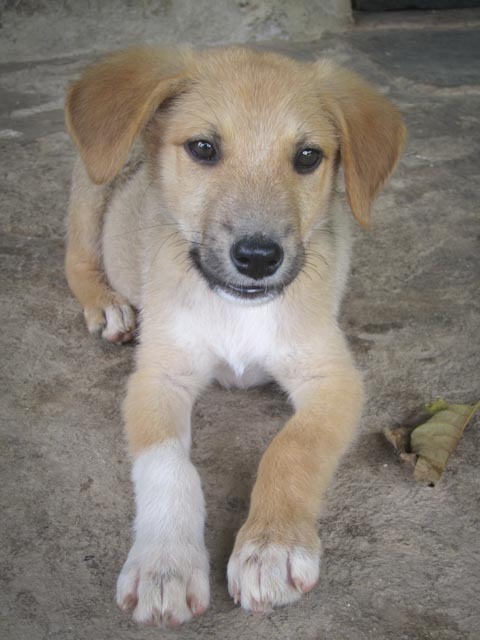 [IMG_1128%255B3%255D.jpg]