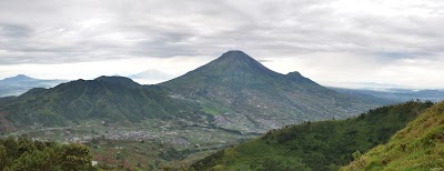 DSC_0769.jpg
